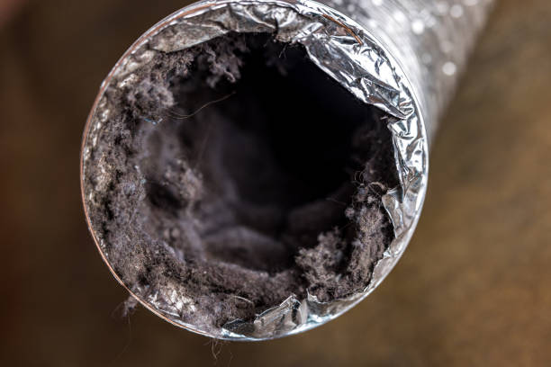  Pharr, TX Airduct Cleaning Pros