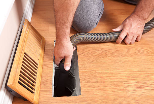 Best Professional Duct Cleaning Services  in Pharr, TX